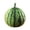 B-2B, variant on MMJ Realistic Large Watermelon Pillow Plush Doll Fruit Model Decoration Performance Prop Soft Cuddly Companion Birthday Gift for Age 3 to Adult