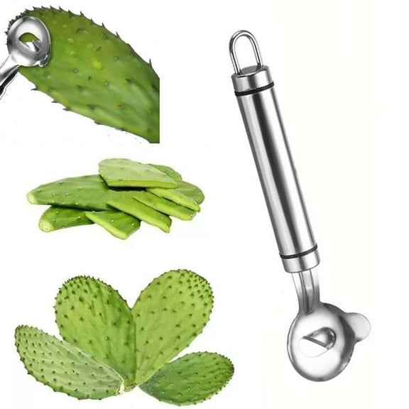 Harlier 1 Pcs Cactus Peeler Spoon, Stainless Steel Rice Meat Dumplings Spoon Squeezing Meatball Artifact Spoon Kitchen Tools, Stainless Steel Nopales Peeler, Easy Nopales Peeler, 7.2 In