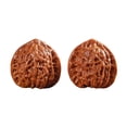 thumbnail image 1 of Hioecau 2Pcs Walnuts Relax Hand Massage Balls for Stress Relief And Blood Circulation Support Natural Wood Fidget Tool Enhances Focus Joint Health Sleep Memory Aid Gift, 1 of 8