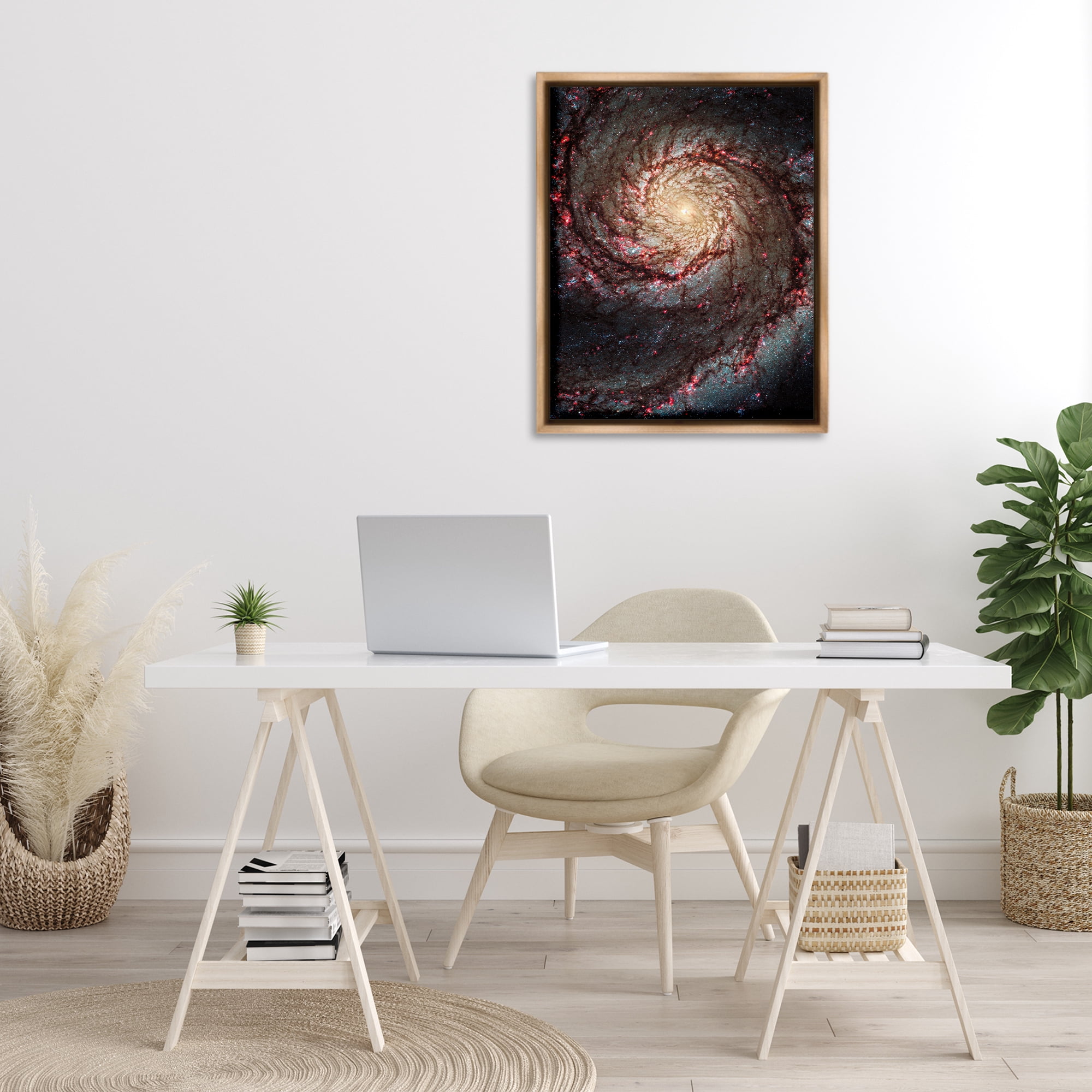 Stupell Industries Great Beyond Nebula Animals & Insects Photography Brown Floater Framed Art Print Wall Art, 25 x 31