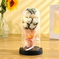 thumbnail image 4 of Loespoir Valentines Rose Gifts For Women, Eternal Rose Flower Arrangement, Glass Dome Presentation, Light Up Display, Birthday Gift, Home Centerpiece, Shelf(White), 4 of 6
