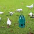 thumbnail image 4 of unbranded Bebedero Para Pájaros De Plástico Con Superficie Lisa Y Limpieza Fácil, 4 of 8