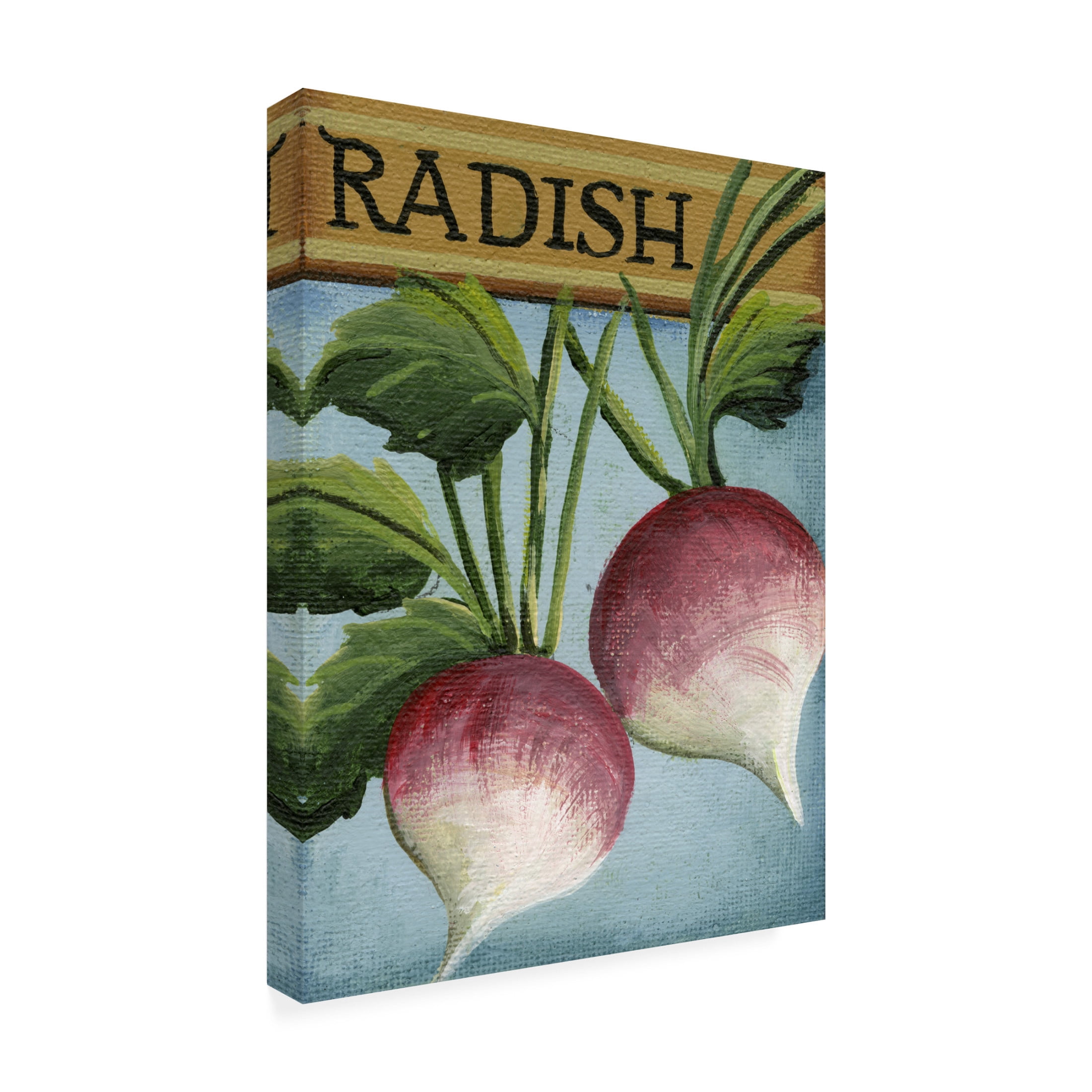 Canvas Wall Art - Debbi Wetzel 'Seed Packets 02 - Radish' Wall Art for Living Room, Bedroom, or Office Décor by Trademark Fine Art - 24 x 32 Inches