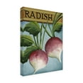 thumbnail image 3 of Canvas Wall Art - Debbi Wetzel 'Seed Packets 02 - Radish' Wall Art for Living Room, Bedroom, or Office Décor by Trademark Fine Art - 14 x 19 Inches, 3 of 4