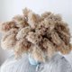thumbnail image 2 of 30 Stems Dried Pampas Grass,Wild Pampas Grass Fluffy Pampas Floral,17 Inch Bulk Pampas Grass Decor, 2 of 5