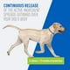 thumbnail image 4 of Collar antipulgas y garrapatas para perros y cachorros Adams, paquete de 2, 12 meses, 4 of 9