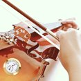 thumbnail image 2 of OUNONA violin moisture Meter Golden Alloy Hygrometer for Musicians Storage and Care of Instruments 1Set, 2 of 8