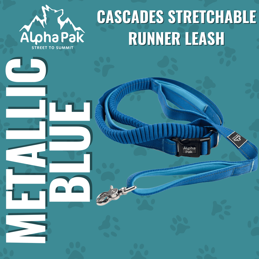 Alpha Pak | Cascades Stretchable Runner Dog Leash | Hands-Free | Reflective | Durable | 6-10 ft. Stretched | Metallic Blue