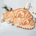 thumbnail image 4 of Christmas Clearance! 3D Cute Sleeping Cat Rug - Cute Hand Hooked Animal Shaped Accent Rug,16x30 inches, Black, 4 of 10