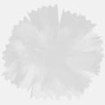 thumbnail image 3 of 100 Pcs Transparent Flower Wrapping Bags Plastic Flower Bouquet Packaging Bags, 3 of 5