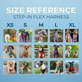 thumbnail image 2 of Best Pet Supplies Voyager Step-In Flex Adjustable Mesh Dog Harness, 2 of 9