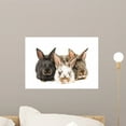 thumbnail image 1 of Little Rabbits Wall Mural by Wallmonkeys Peel and Stick Graphic (18 in W x 13 in H) WM304325, 1 of 4