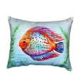 thumbnail image 3 of Orange Fish No Cord Pillow 16x20, 3 of 3
