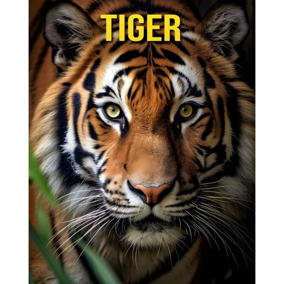Tiger: Fun and Amazing Pictures About Tiger, (Paperback)