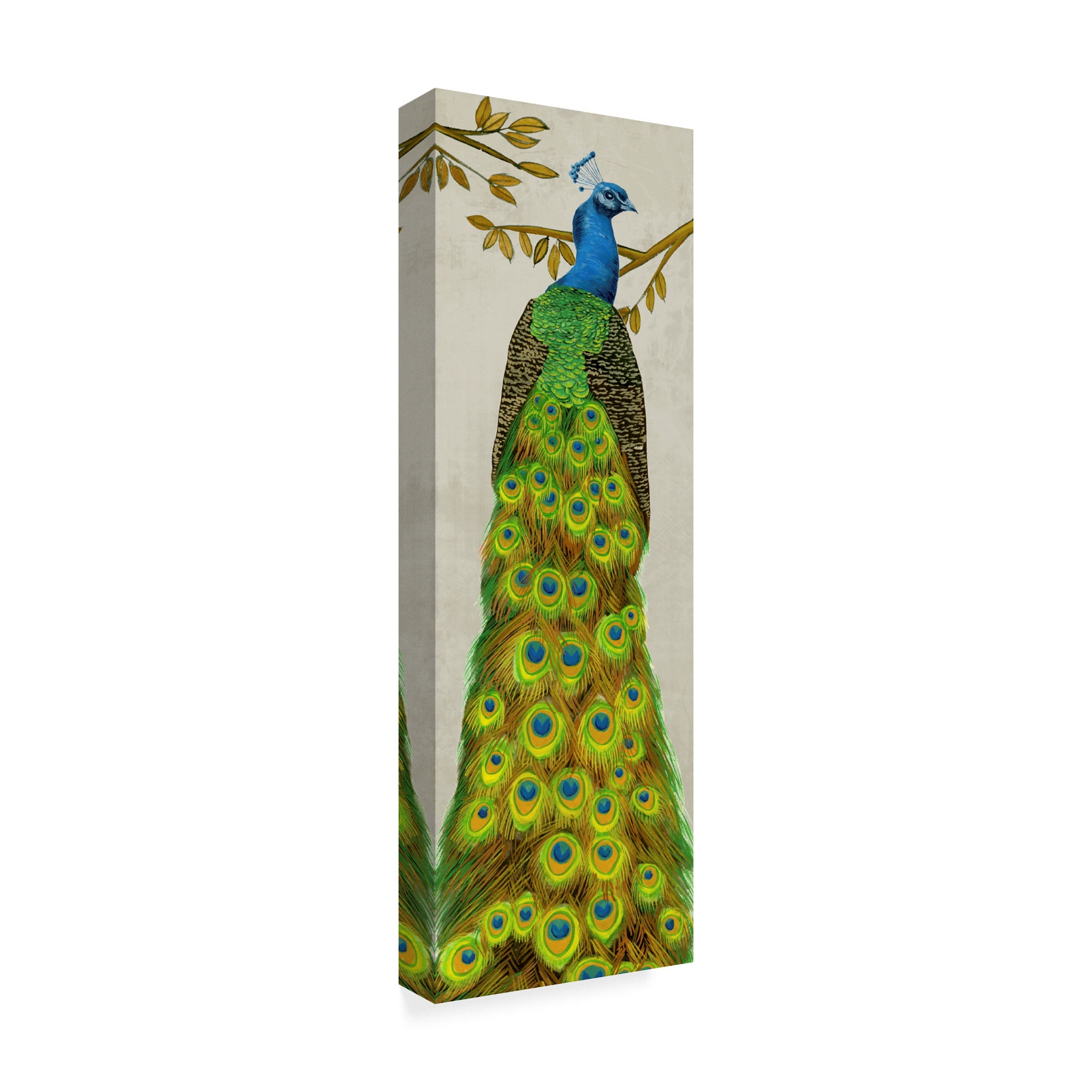 Trademark Fine Art 'Vintage Peacock I' Canvas Art by Melissa Wang