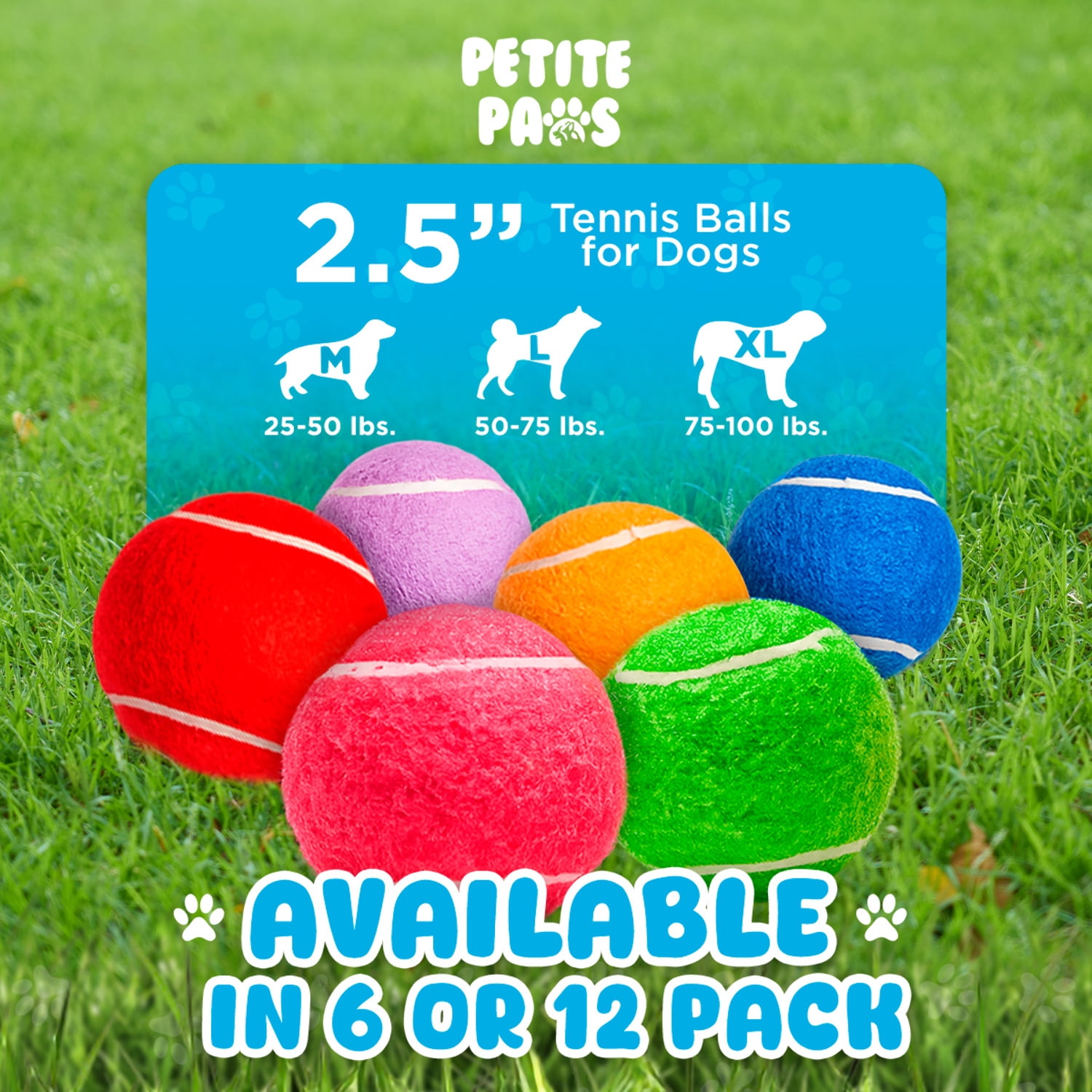 Petite Paws Colorful Squeaky Tennis Balls for Large Dogs and Puppies — 2.5-Inch, 12-Pack — High-Bounce Fetch Toy