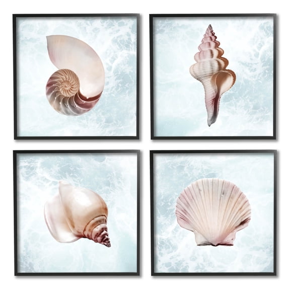 Stupell Industries Underwater Sea Life Shells Graphic Art Black Framed Art Print Wall Art, Set of 4, Design by Marcus Prime