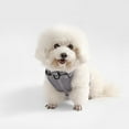 thumbnail image 5 of THE LICKER STORE Arlo Small Adjustable Soft Padded No Pull Pet Harness with 3 Buckles and 3 Leash Clips, Gray, HNS1001N, 5 of 8