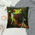 thumbnail image 2 of COMIO  Throw Pillow Cover Cute Tree Frog Green Wild Animal Home Decor Pillowcase Cushion Cover, 2 of 5