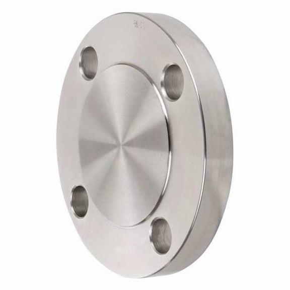 Manufacturer Varies 2" Welded SS Blind Flange 4381000050