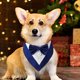 thumbnail image 5 of Bandana formal para perro, boda, collar para perro con pajarita, disfraz de cumpleaños, esmoquin ajustable para fiesta de mascotas, azul Zhivalor CPB-SSW513-1, 5 of 5