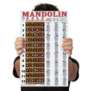 Laminated Mandolin Fretboard Notes & Easy Beginner Chord Chart 11"x17" Instruction Poster - A New Song Music