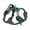 Green, variant on Adventure No-pull Harness