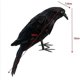 thumbnail image 4 of Artificial Raven & Magpie Birds Decor for Outdoor Garden & Home Decoration, 4 of 5