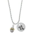 thumbnail image 1 of Delight Jewelry Goldtone Large Bullets on Silvertone Spinner Silvertone Script Initial Disc - N - Charm Necklace, 20"+3", 1 of 4