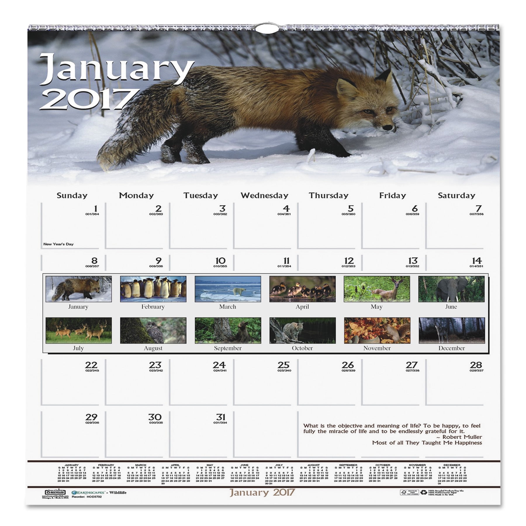 House of Doolittle Recycled Wildlife Scenes Monthly Wall Calendar, 12 x