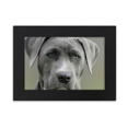 thumbnail image 1 of Hermoso perro mascota animal picture Marco de Fotos de escritorio imagen Arte Negro Pintura 5x7 pulgadas, 1 of 4