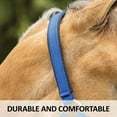 thumbnail image 5 of Dura-Tech Deluxe Fully Padded Breakaway Horse Halter | Over Size | Black, 5 of 8