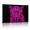 D, variant on XaaKee Wall Art Canvas Art Prints Deep Pink Emerging Face Panther Modern Abstract Canvas Prints Wall Art Inner Framed 18*12Inch