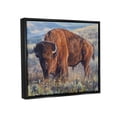 thumbnail image 4 of Stupell Industries Bison Grazing on Prairie Animals & Insects Photography Black Floater Framed Art Print Wall Art, 31 x 25, 4 of 10