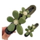 thumbnail image 3 of Pinzas rectas con forma de pico de pato y diseño retro, horquilla y pinza recta con forma de pico de pato y diseño retro, pinzas para el pelo elegantes con forma de pico de pato, de fijación fuerte y, 3 of 8