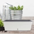 thumbnail image 4 of LEEYNEER Long Flower Pots Plastic Rectangular Planter Box with Water Storage for Windowsill Balcony Gardens Growing Vegetable Herb, 4 of 8