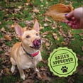 thumbnail image 2 of Pig Ears for Dogs - 12 Pack | Natural Dog Chews | Long Lasting Treats for Dogs for Promoting Healthy Teeth and Gums, Muscle Development, and Overall Health | Preservative Free, 2 of 6