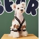 thumbnail image 2 of Suéteres para perros pequeños, lindos cárdigans de oso para perros, ropa para perros pequeños y medianos, conjuntos de cárdigan de punto para niños, niñas, cachorros y gatos, abrigos de invierno, 2 of 5