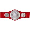 thumbnail image 1 of WWE Raw Tag Team Championship Title, 1 of 4