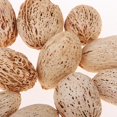thumbnail image 3 of KLKCMS 12Pcs Rustic Dried Flowers Ornament for Christmas Home Wedding, 3 of 7