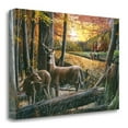 thumbnail image 1 of Tangletown Art, 22 x 15 "Autumn Harvest " by Kevin Daniel, Gallery Wrap Canvas A, 1 of 2