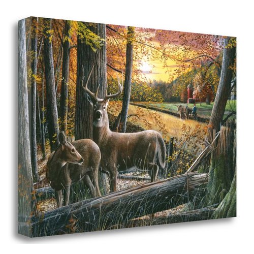 Tangletown Art, 22 x 15 "Autumn Harvest " by Kevin Daniel, Gallery Wrap Canvas A