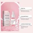 thumbnail image 3 of Pink Peptide Serum, Pink Glow Serum with Niacinamide, Even Skin Tone, Anti-Ageing Lifting & Firming Serum, Moisturizing Hydrating Face Serum, 3 of 5