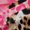 Brown P, variant on Homewish Fashion Leopard Print B Black Out Curtains for Women, Princess Ribbon Bowknot Curtains Pack of 2 (42x63 Each), Brown Pink Cartoon Bedroom Curtains, Living Room Curtains Decor
