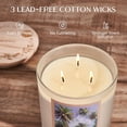 thumbnail image 3 of M&SENSE Large-Sized 3 Wick Ocean Breeze Scented Candle, 24.7oz with Wooden Lid | 120 Hours Long-Lasting Burn, Jar Candle Gift for Home Fragrance, 3 of 6