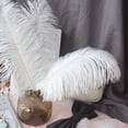 thumbnail image 4 of Plumas artesanales TUNC blancas Decoraciones de plumas de ganso naturales para atrapasueños de bricolaje 5pcs Sencillez, 4 of 5