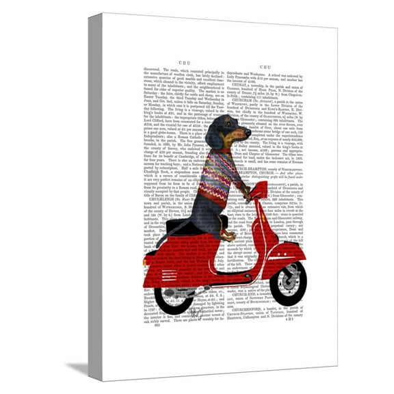 Art.com Dachshund on a Moped Stretched Canvas Print Wall Art by Fab Funky, 12" x 16"