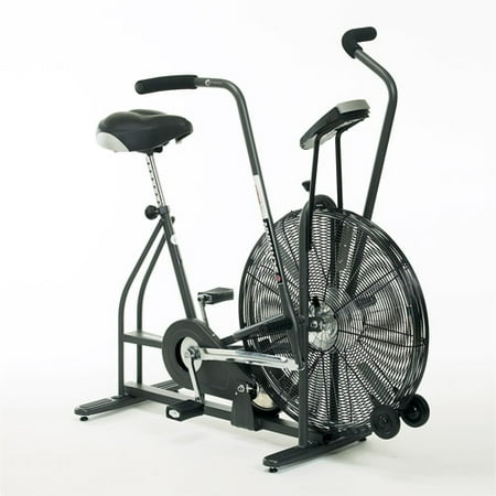 Schwinn Airdyne Upright Exercise Bike