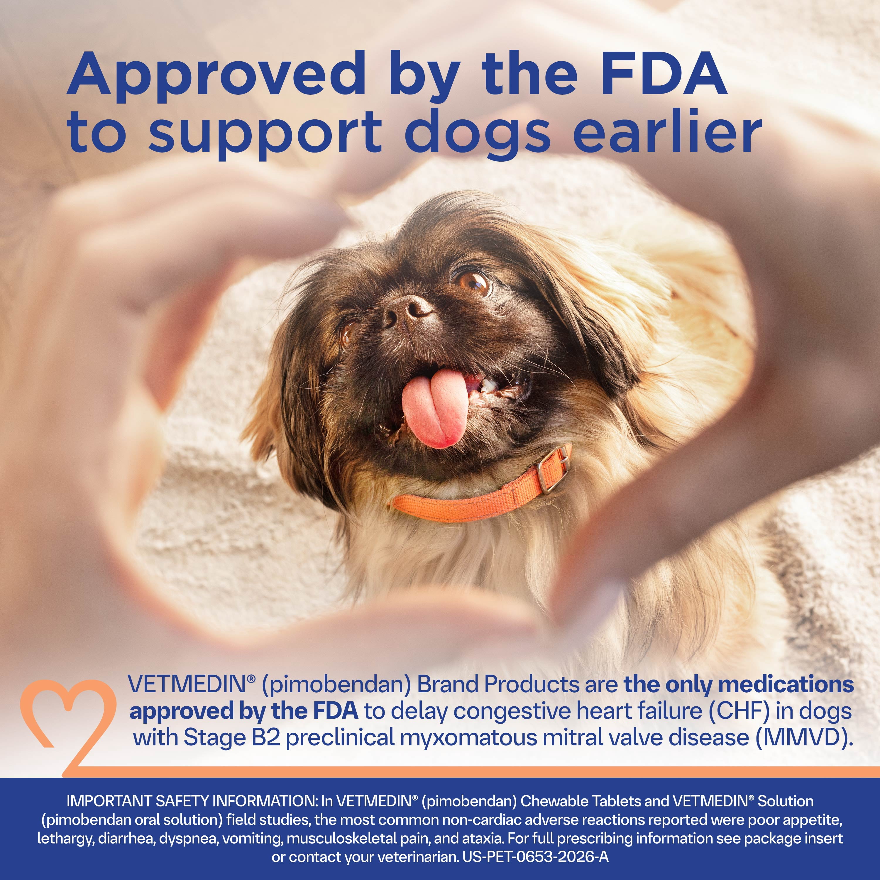 Vetmedin (Pimobendan) Chewable Tablets for Dogs, 2.5 mg