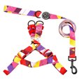 thumbnail image 2 of Flmtop Traction Rope Set Metal Buckle Pet Accessories Polyester Double-sided Printing Harness Traction Rope Set for Walking Red Sunset, 2 of 9